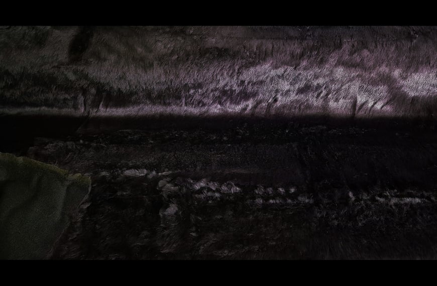 Fur 