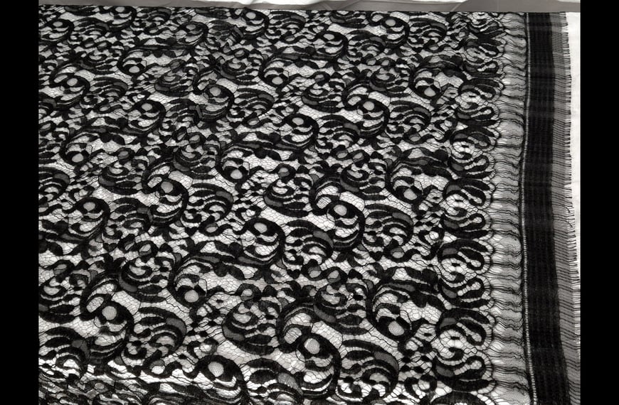 Lace Guipure with Large Branch Polyester Single-Colored - 150cm