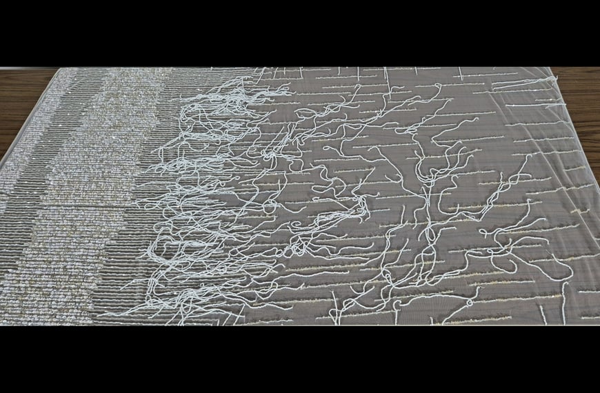 Lace Beaded with Fringes Polyester Single-Colored-120cm