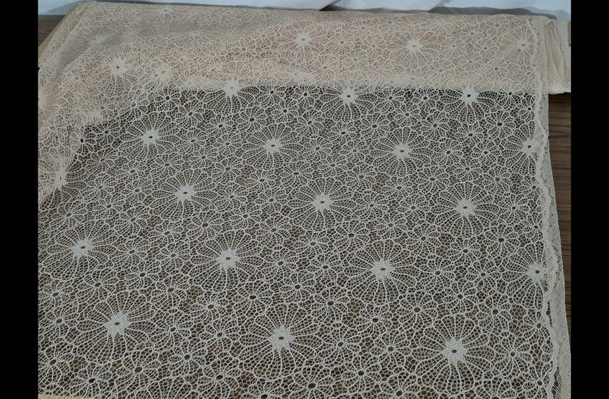 Lace Net with Daisies Polyester Single-Colored-150cm Lace Net with Daisies Polyester Single-Colored-150cm