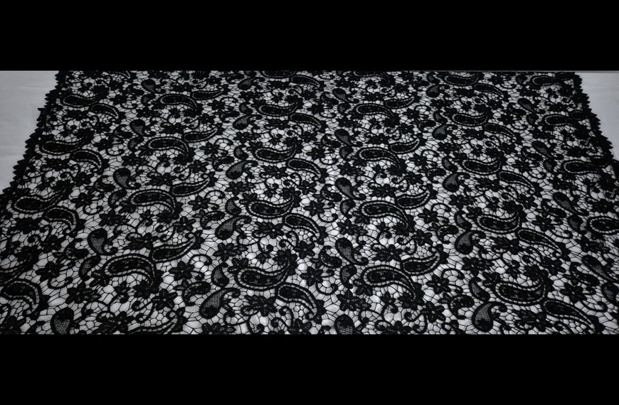 Lace Guipure with Paislies Polyester Single-Colored - 120cm