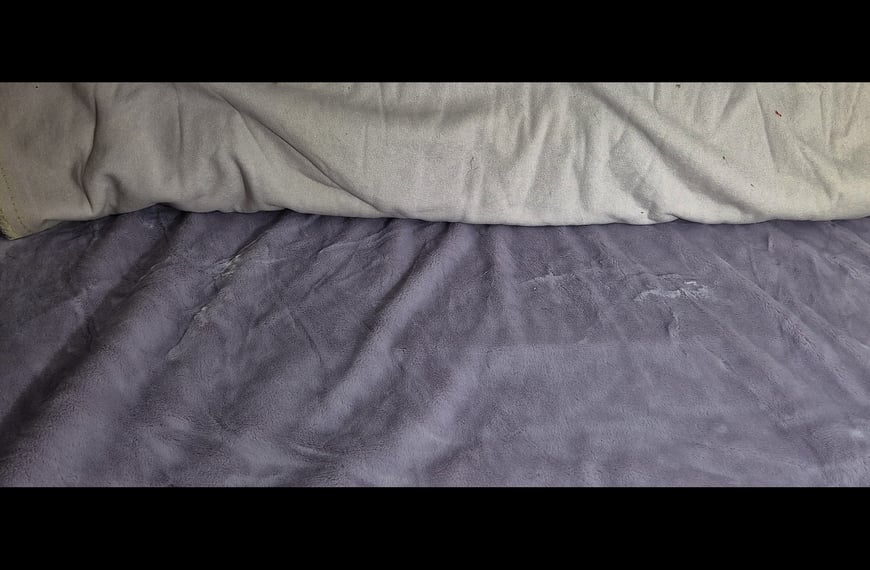 Fur Alaska Polyester Single-Colored - 150cm
